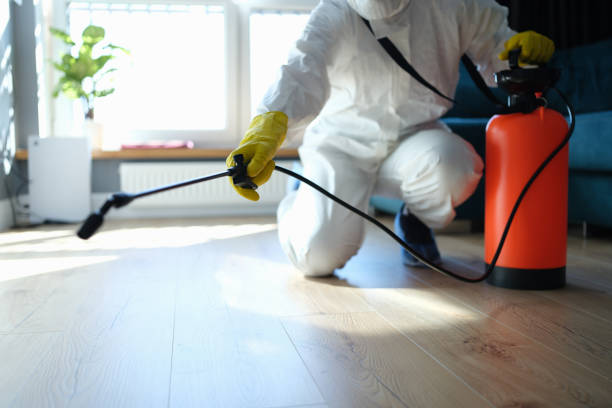 Reliable Biohazard contractor in Moapa, NV by Dulley Family Biohazard Services